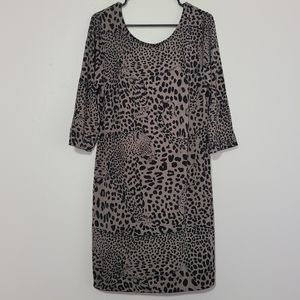Banana Republic Cheetah Print Dress